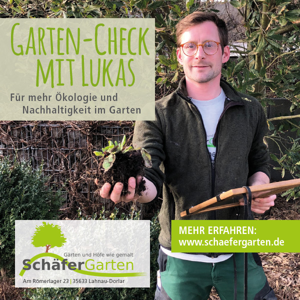 Garten-Check mit Lukas