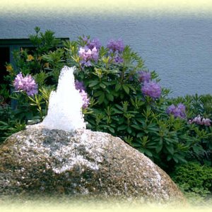 Detail Wasserschwall vor Rhododendron