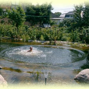 Schwimmteich       (siehe ausführliche Beschreibung)