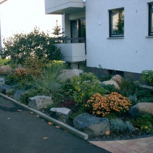 Naturnahe Vorgartengestaltung mit Findlingen  und Schrittplattenweg