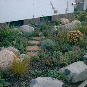 Naturnahe Vorgartengestaltung mit Findlingen  und Schrittplattenweg